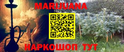 индика Будённовск
