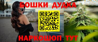 индика Будённовск