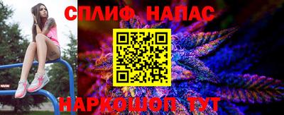 индика Будённовск