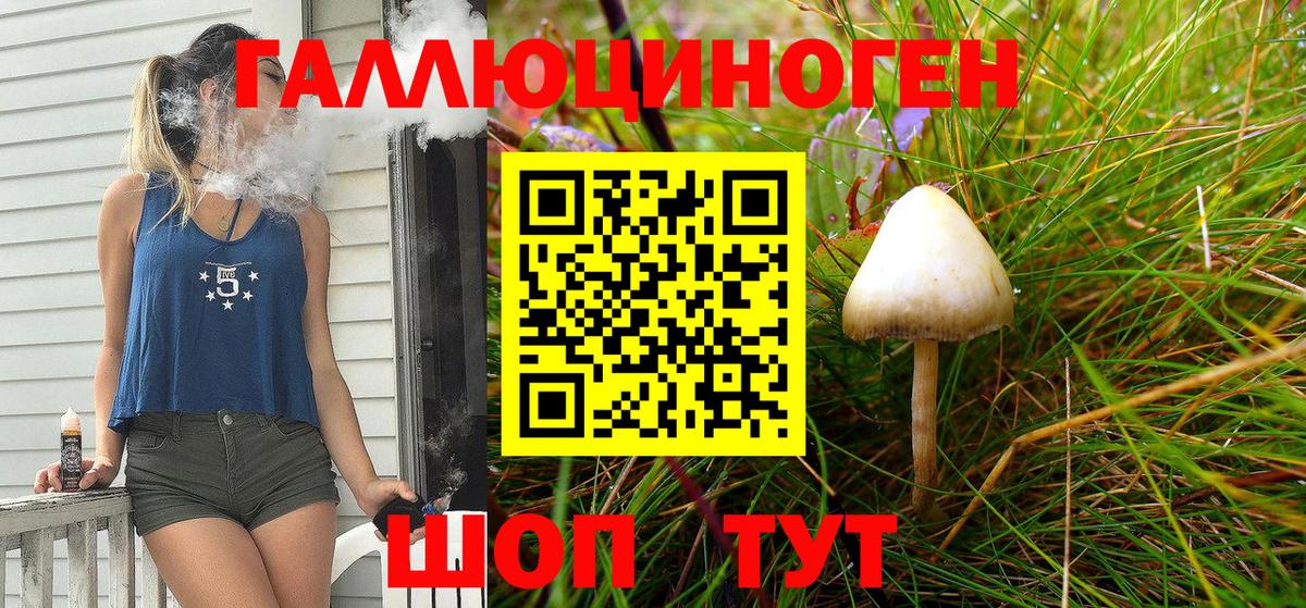 Майкоп  Псилоцибиновые грибы Cubensis  Галлюциногенные грибы мицелий  Вход с VPN 