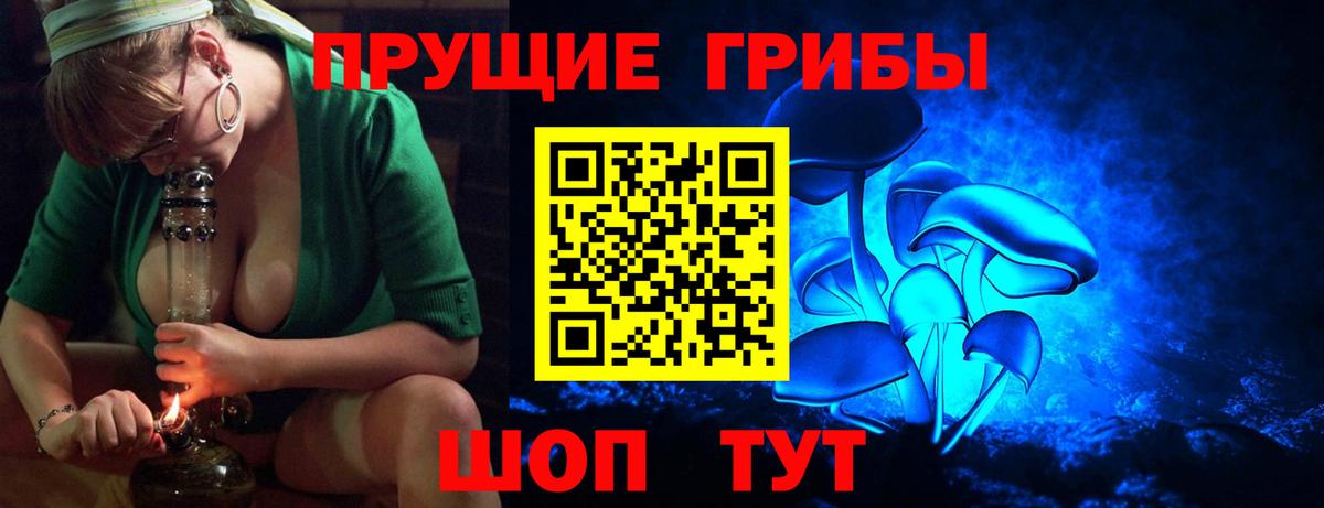 Галлюциногенные грибы Magic Shrooms Майкоп