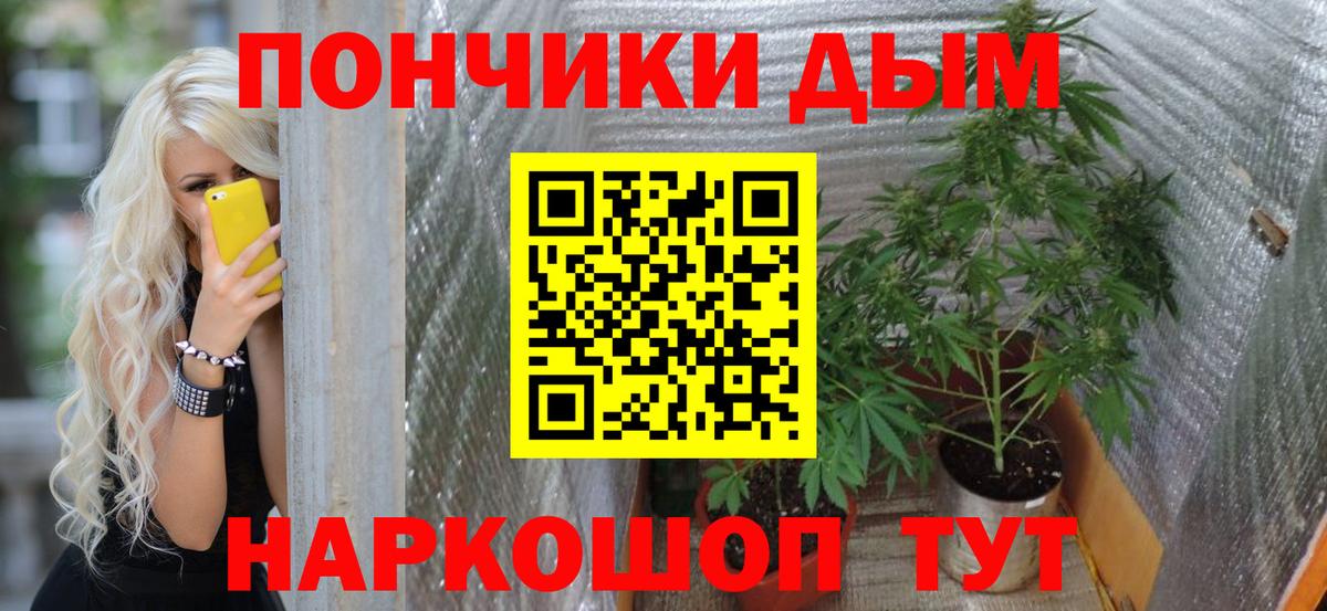 Бошки Шишки планчик  Каннабис SATIVA & INDICA  Бошки марихуана SATIVA & INDICA  Майкоп  Вход с VPN  Конопля Amnesia 